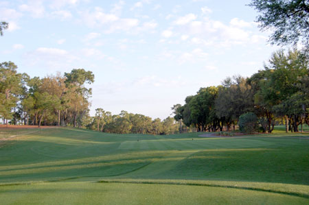 Innisbrook Copperhead #6
